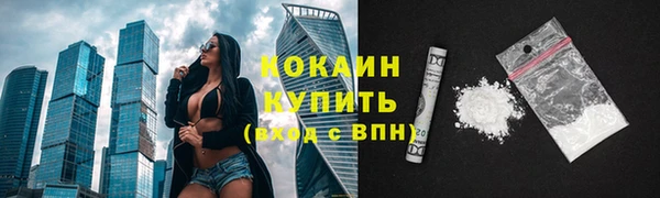 индика Лабытнанги