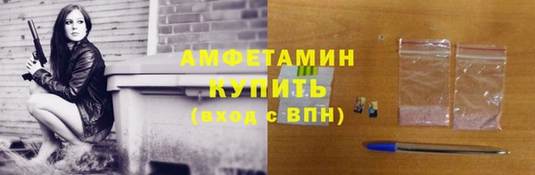 индика Лабытнанги