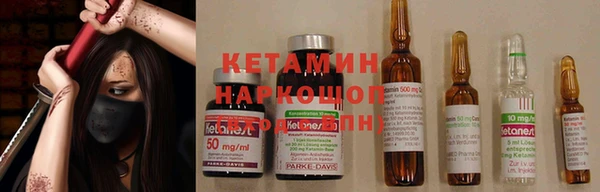 индика Лабытнанги