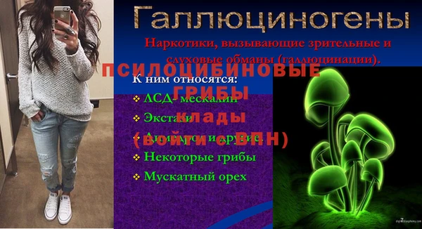 мдма Ладушкин
