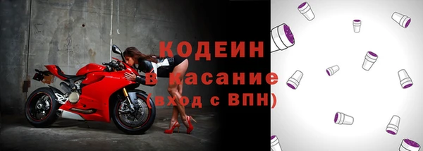 индика Лабытнанги