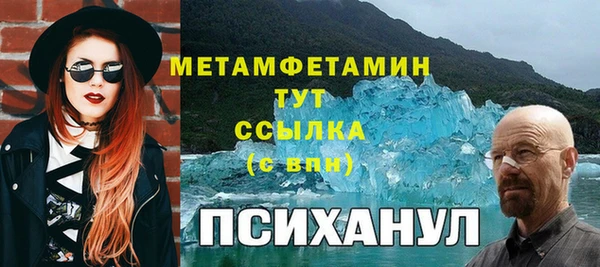 индика Лабытнанги