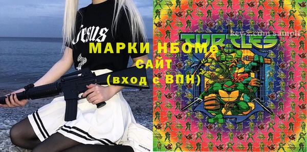 индика Лабытнанги