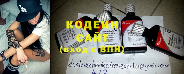 индика Лабытнанги