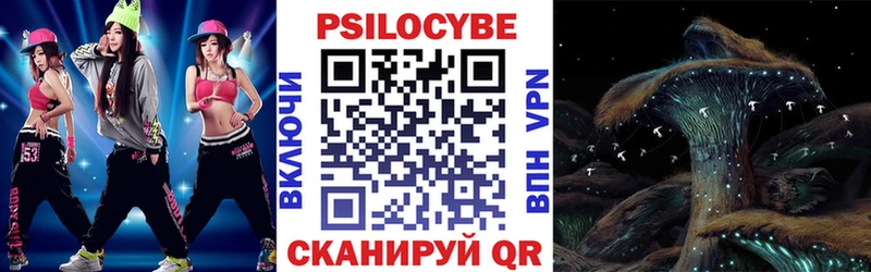 Купить где  Темрюк  Псилоцибиновые грибы мицелий 